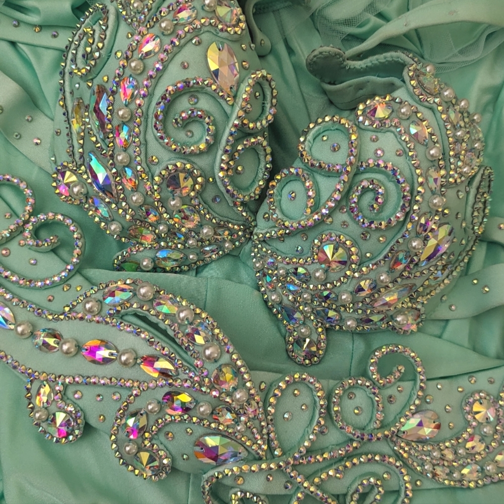 Mint professional bellydance costume